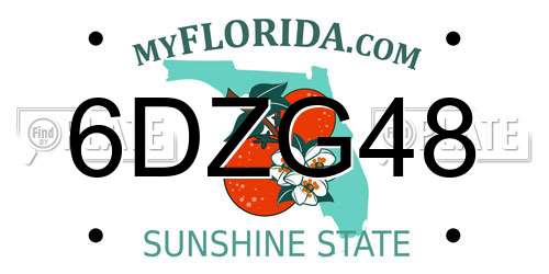 6DZG48 Florida License Plate