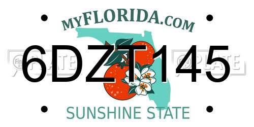 6DZT145 Florida License Plate