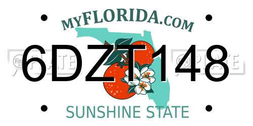 6DZT148 Florida License Plate