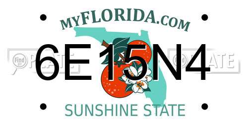 6E15N4 Florida License Plate
