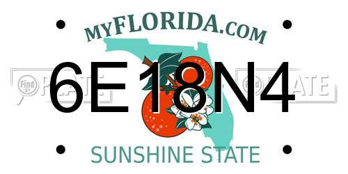 6E18N4 Florida License Plate