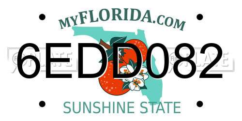 6EDD082 Florida License Plate