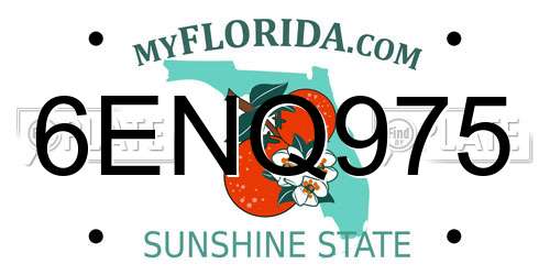 6ENQ975 Florida License Plate