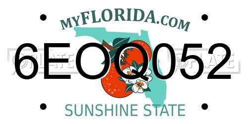 6EOQ052 Florida License Plate