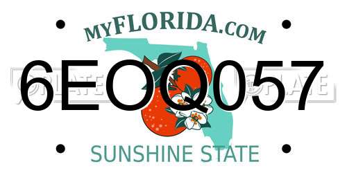 6EOQ057 Florida License Plate