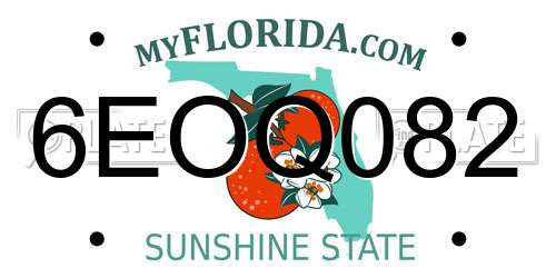 6EOQ082 Florida License Plate