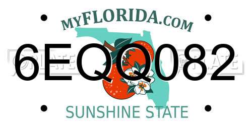 6EQQ082 Florida License Plate