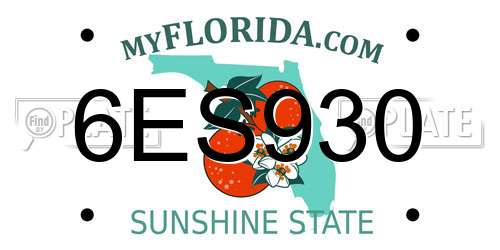 6ES930 Florida License Plate