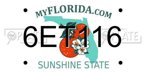 6ET116 Florida License Plate
