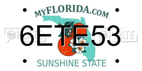 6ETE53 Florida License Plate