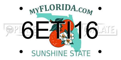 6ETI16 Florida License Plate