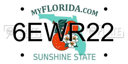 6EWR22 Florida License Plate