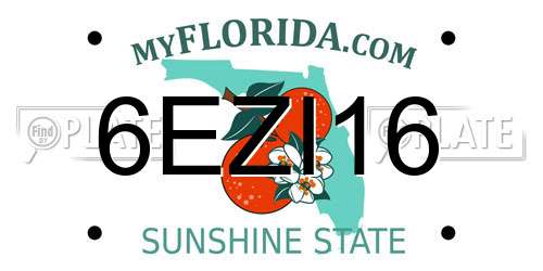 6EZI16 Florida License Plate