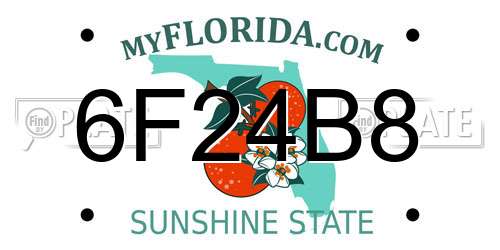6F24B8 Florida License Plate