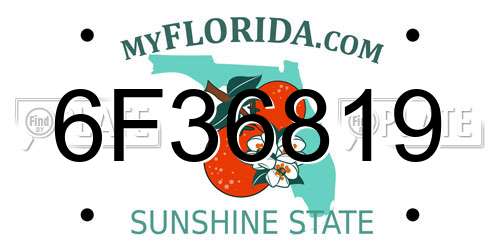6F36819 Florida License Plate