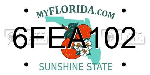 6FEA102 Florida License Plate