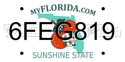 6FEG819 Florida License Plate