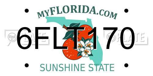 6FLT170 Florida License Plate
