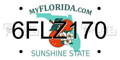 6FLZ170 Florida License Plate