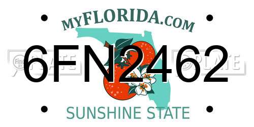 6FN2462 Florida License Plate