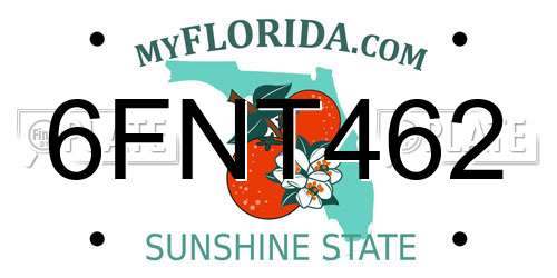 6FNT462 Florida License Plate