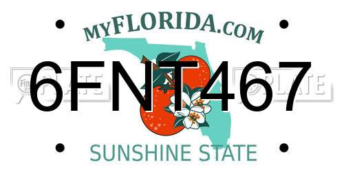 6FNT467 Florida License Plate