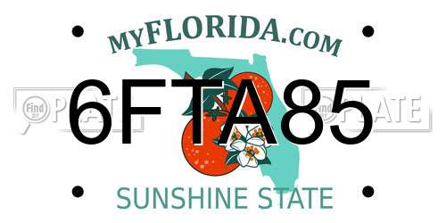 6FTA85 Florida License Plate