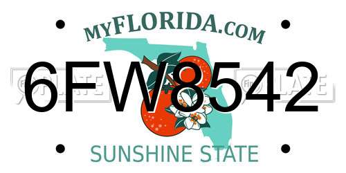 6FW8542 Florida License Plate