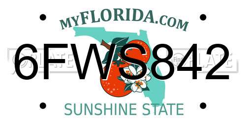 6FWS842 Florida License Plate