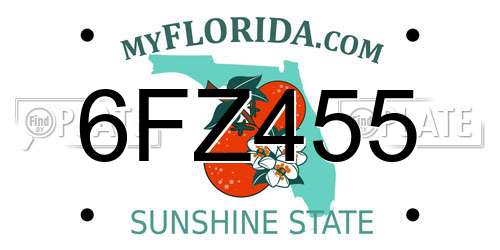 6FZ455 Florida License Plate