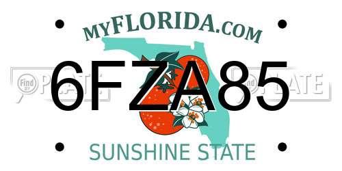 6FZA85 Florida License Plate