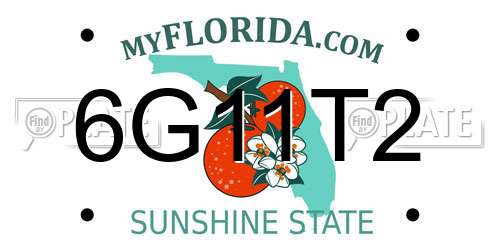 6G11T2 Florida License Plate