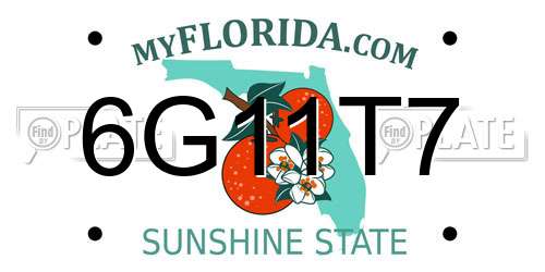 6G11T7 Florida License Plate
