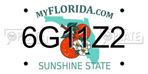 6G11Z2 Florida License Plate