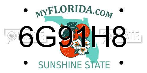6G91H8 Florida License Plate