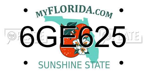 6GE625 Florida License Plate