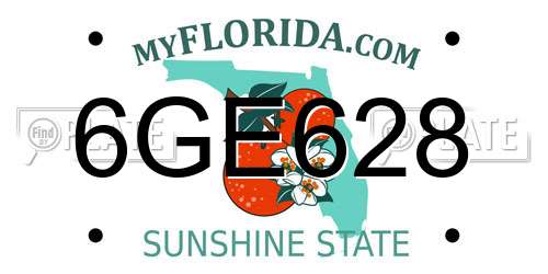 6GE628 Florida License Plate