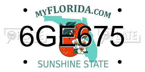 6GE675 Florida License Plate