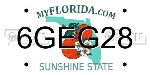 6GEG28 Florida License Plate