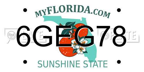 6GEG78 Florida License Plate