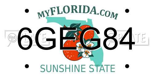 6GEG84 Florida License Plate