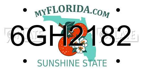 6GH2182 Florida License Plate