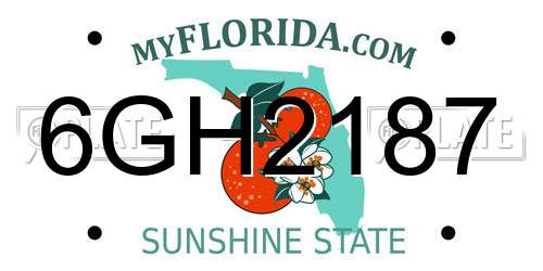 6GH2187 Florida License Plate