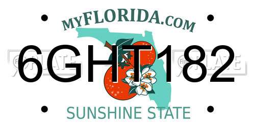 6GHT182 Florida License Plate