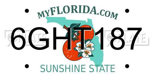 6GHT187 Florida License Plate