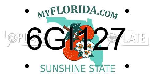 6GI127 Florida License Plate