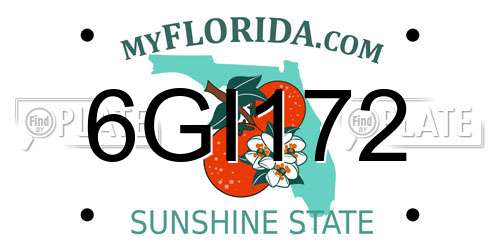 6GI172 Florida License Plate
