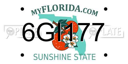 6GI177 Florida License Plate