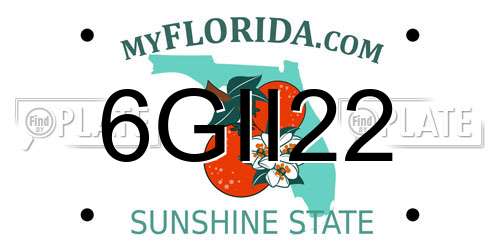 6GII22 Florida License Plate