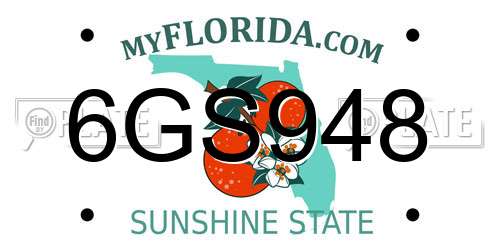 6GS948 Florida License Plate